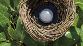 Natura w nowym świetle – jak podkreślić żywą architekturę ogrodu